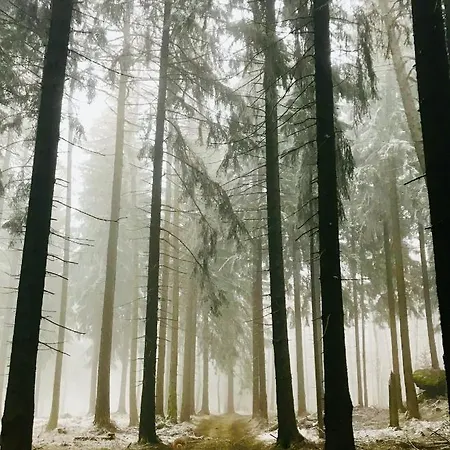 شقة Zu Gast Im Wohnpark Erlabrunn *